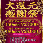 ヒメ日記 2025/02/13 08:03 投稿 かな One More奥様　厚木店