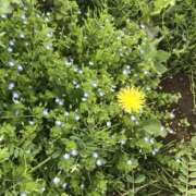 ヒメ日記 2025/03/05 10:18 投稿 かな One More奥様　厚木店