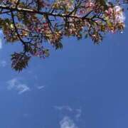 ヒメ日記 2025/03/09 09:48 投稿 かな One More奥様　厚木店