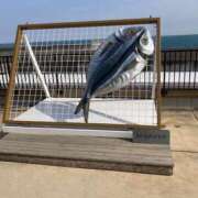 ヒメ日記 2025/03/16 12:08 投稿 かな One More奥様　厚木店