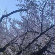 ヒメ日記 2025/04/10 18:18 投稿 かな One More奥様　厚木店