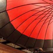 ヒメ日記 2025/04/11 20:59 投稿 かな One More奥様　厚木店