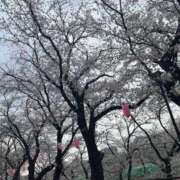 ヒメ日記 2025/04/21 21:28 投稿 かな One More奥様　厚木店