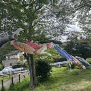 ヒメ日記 2025/05/06 09:58 投稿 かな One More奥様　厚木店