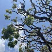 ヒメ日記 2025/05/07 10:18 投稿 かな One More奥様　厚木店