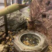 ヒメ日記 2025/05/23 20:48 投稿 かな One More奥様　厚木店