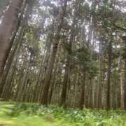 ヒメ日記 2025/06/05 08:08 投稿 かな One More奥様　厚木店