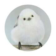 ヒメ日記 2025/06/17 19:14 投稿 かな One More奥様　厚木店