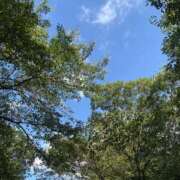 ヒメ日記 2025/08/01 08:02 投稿 かな One More奥様　厚木店