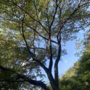 ヒメ日記 2025/08/05 21:01 投稿 かな One More奥様　厚木店