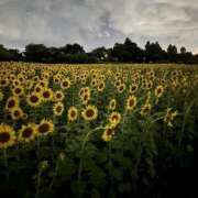 ヒメ日記 2025/08/06 14:30 投稿 かな One More奥様　厚木店