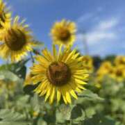 ヒメ日記 2025/08/10 10:00 投稿 かな One More奥様　厚木店