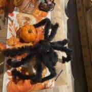 ヒメ日記 2025/09/26 20:59 投稿 かな One More奥様　厚木店