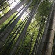 ヒメ日記 2025/09/30 17:17 投稿 かな One More奥様　厚木店