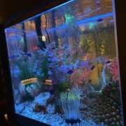 ヒメ日記 2025/10/17 13:40 投稿 かな One More奥様　厚木店