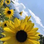 ヒメ日記 2025/10/23 08:27 投稿 かな One More奥様　厚木店