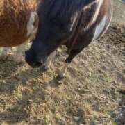 ヒメ日記 2026/01/04 13:07 投稿 かな One More奥様　厚木店