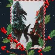 ヒメ日記 2024/12/24 18:55 投稿 あさこ 横浜おかあさん