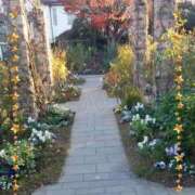 ヒメ日記 2024/12/25 18:45 投稿 あさこ 横浜おかあさん