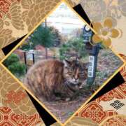 ヒメ日記 2025/01/02 12:45 投稿 あさこ 横浜おかあさん