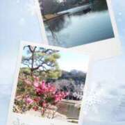 ヒメ日記 2025/01/10 19:05 投稿 あさこ 横浜おかあさん