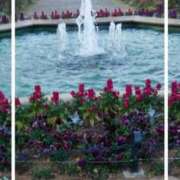 ヒメ日記 2025/01/11 14:35 投稿 あさこ 横浜おかあさん