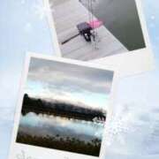 ヒメ日記 2025/01/17 11:08 投稿 あさこ 横浜おかあさん