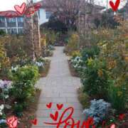 ヒメ日記 2025/01/18 19:25 投稿 あさこ 横浜おかあさん