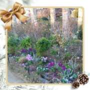 ヒメ日記 2025/01/19 20:35 投稿 あさこ 横浜おかあさん