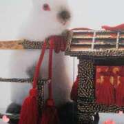 ヒメ日記 2025/01/19 20:43 投稿 あさこ 横浜おかあさん