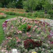 ヒメ日記 2025/01/21 19:05 投稿 あさこ 横浜おかあさん