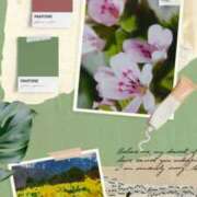 ヒメ日記 2025/01/22 19:45 投稿 あさこ 横浜おかあさん