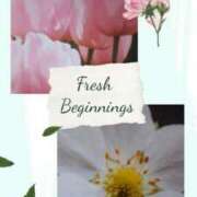 ヒメ日記 2025/01/30 18:25 投稿 あさこ 横浜おかあさん