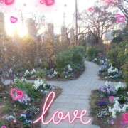 ヒメ日記 2025/01/31 11:05 投稿 あさこ 横浜おかあさん