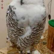 ヒメ日記 2025/02/07 12:25 投稿 あさこ 横浜おかあさん