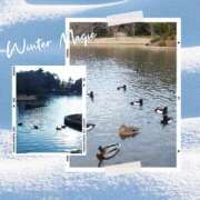 ヒメ日記 2025/02/10 19:15 投稿 あさこ 横浜おかあさん