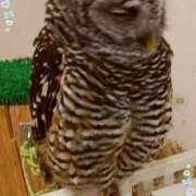 ヒメ日記 2025/02/11 12:55 投稿 あさこ 横浜おかあさん