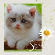 ヒメ日記 2025/02/22 13:25 投稿 あさこ 横浜おかあさん