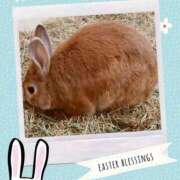 ヒメ日記 2025/02/25 21:15 投稿 あさこ 横浜おかあさん