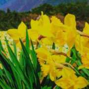 ヒメ日記 2025/02/28 14:15 投稿 あさこ 横浜おかあさん