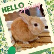 ヒメ日記 2025/03/02 19:12 投稿 あさこ 横浜おかあさん