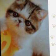 ヒメ日記 2025/03/15 19:35 投稿 あさこ 横浜おかあさん