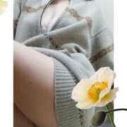 ヒメ日記 2025/03/21 09:01 投稿 あさこ 横浜おかあさん