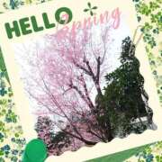 ヒメ日記 2025/03/21 21:25 投稿 あさこ 横浜おかあさん