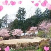 ヒメ日記 2025/03/23 14:11 投稿 あさこ 横浜おかあさん