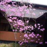 ヒメ日記 2025/03/28 20:15 投稿 あさこ 横浜おかあさん