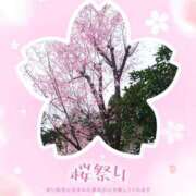 ヒメ日記 2025/03/29 09:04 投稿 あさこ 横浜おかあさん