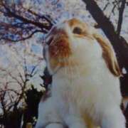 ヒメ日記 2025/04/04 19:55 投稿 あさこ 横浜おかあさん