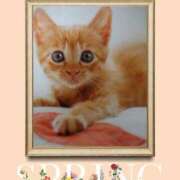 ヒメ日記 2025/04/08 19:55 投稿 あさこ 横浜おかあさん