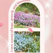ヒメ日記 2025/04/12 19:55 投稿 あさこ 横浜おかあさん